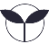 發(fā)展歷程